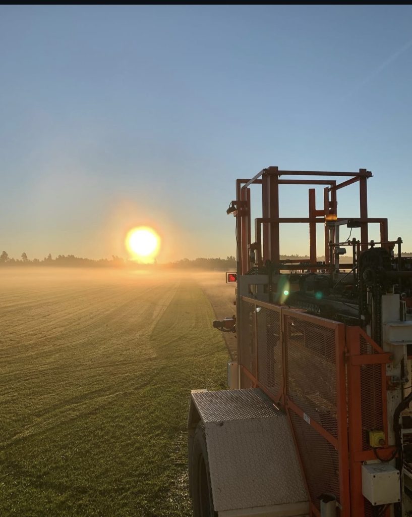 Frost på morgonen?